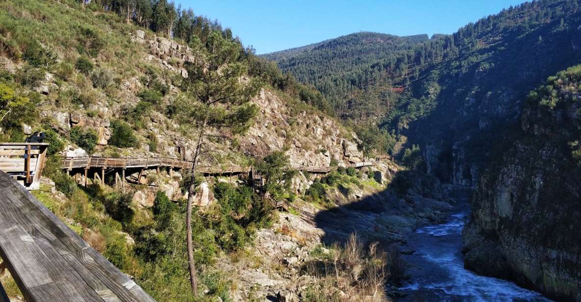 From Porto: Arouca 516 and Paiva Walkways Guided Day Trip - The van ride and the Arouca snack break that sets the tone