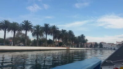 From Porto: Aveiro & Coimbra Tour with Moliceiro Boat Cruise - Riding the moliceiro: the Aveiro canal moment you will remember