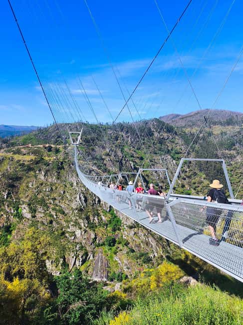 From Porto: Aveiro, Paiva Walkways and Arouca 516 Footbridge - Key highlights I’d plan around