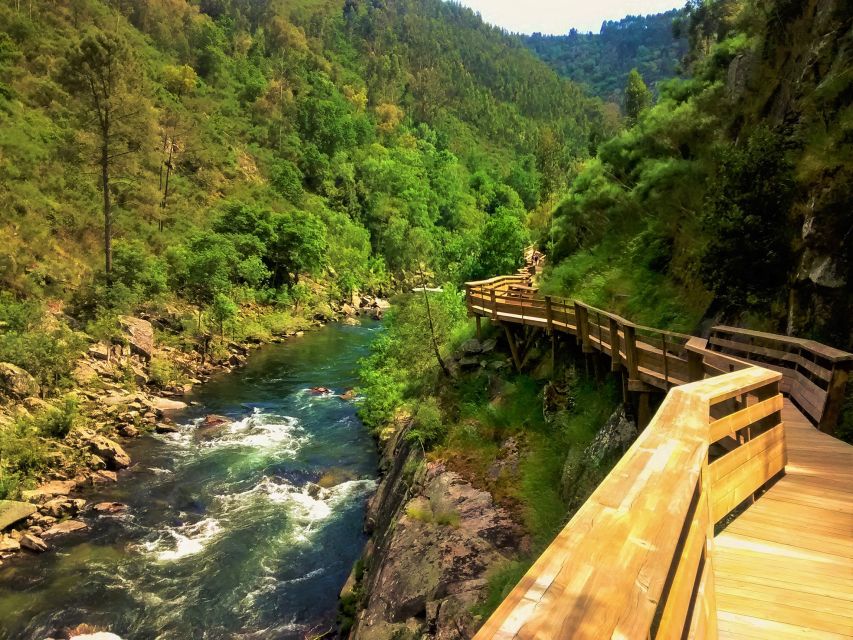 From Porto: Aveiro, Paiva Walkways and Arouca 516 Footbridge - How hard is this day, really?