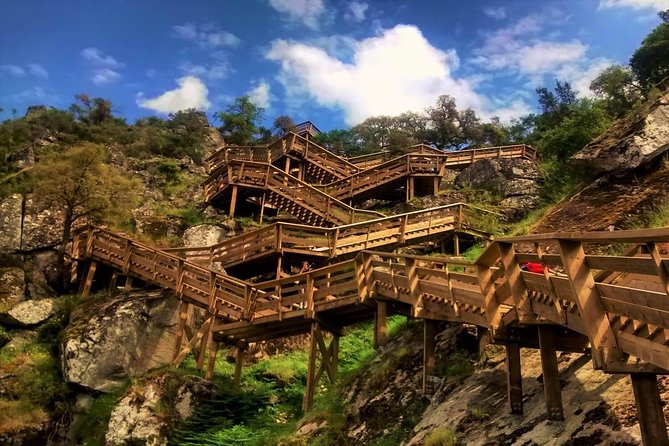 From Porto: Aveiro, Paiva Walkways, Suspension Bridge and Lunch - Key highlights you’ll care about