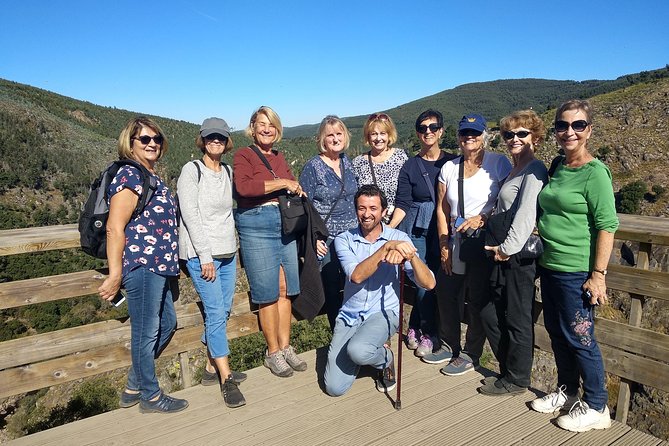 From Porto: Aveiro, Paiva Walkways, Suspension Bridge and Lunch - Aveiro on foot: canals, short guided time, and the optional boat