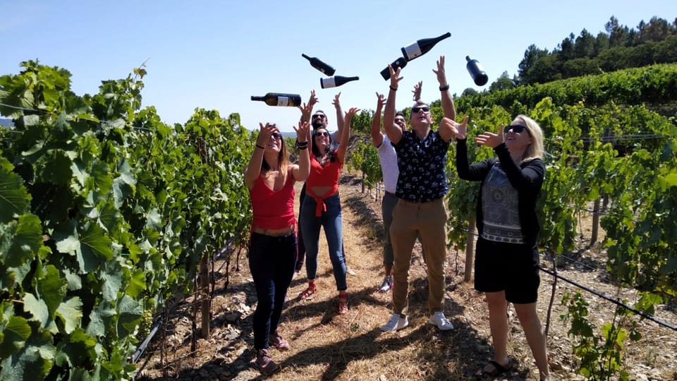 From Porto: Douro Valley Tour with Tastings, Boat & Lunch - First family winery: Douro DOC tastings with real process talk