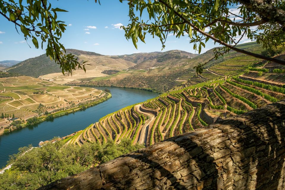 From Porto: Douro Valley Tour with Tastings, Boat & Lunch - Lunch in the Douro: 3 courses, typical Portuguese food, and local wine pairing