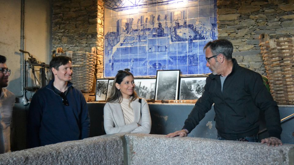 From Porto: Douro Valley Tour with Tastings, Boat & Lunch - What to expect on a practical level: timing, group dynamics, and comfort