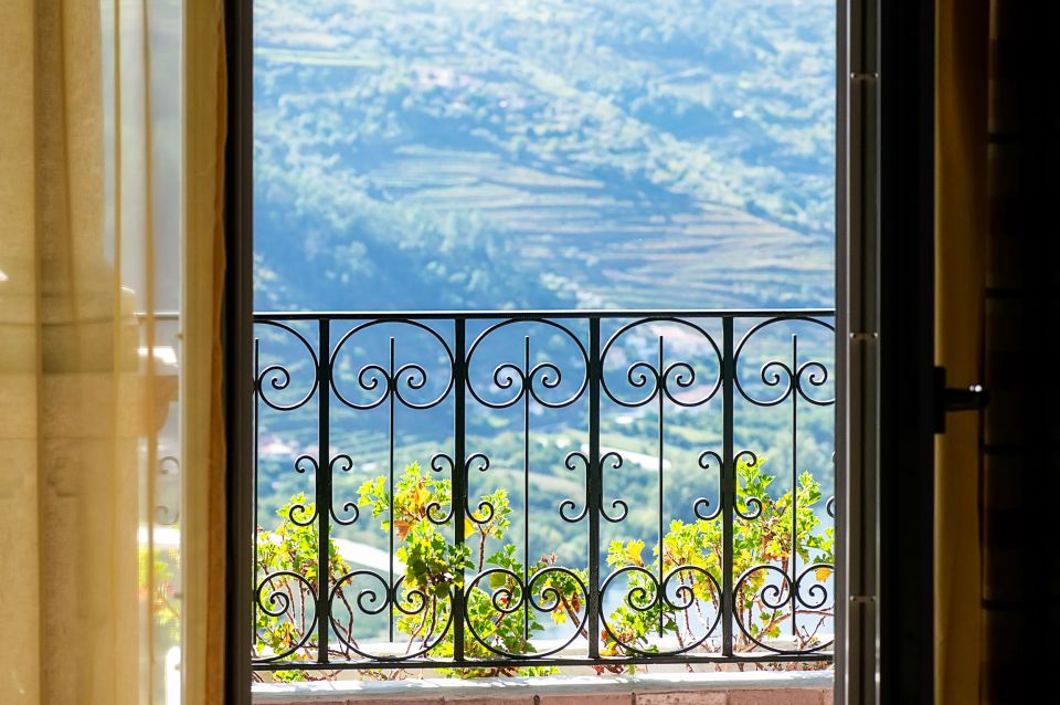 From Porto: Douro Valley w/ Boat Tour, Wine Tasting & Lunch - Is this tour good value for $82?