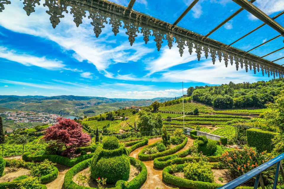 From Porto: Douro Valley w/ Boat Tour, Wine Tasting & Lunch - Second winery in Pinhão: Port tastings, another guided angle, then views