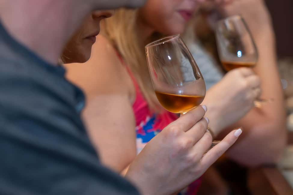 From Porto: Douro Valley Wine Tour with Lunch and Cruise - Who this Douro Valley tour fits best