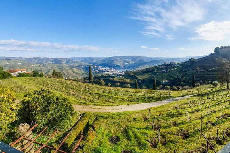 From Porto: Douro Valley with Wineries, Lunch and Boat Trip - Price and value: what $171 buys you (and what it doesn’t)