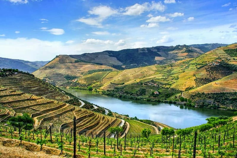 From Porto: Douro Valley with Wineries, Lunch and Boat Trip - Porto to Amarante, then straight into the Douro mood