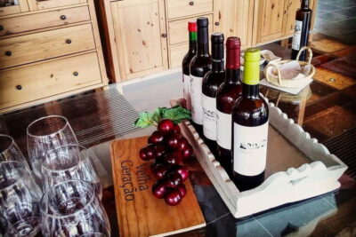 From Porto: Douro Valley with Wineries, Lunch and Boat Trip - Quinta do Seixo: where the Port tasting starts to make sense