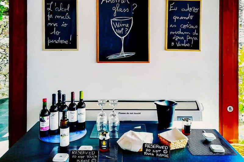 From Porto: Douro Valley with Wineries, Lunch and Boat Trip - Rabelo river cruise: why 50 minutes feels like longer