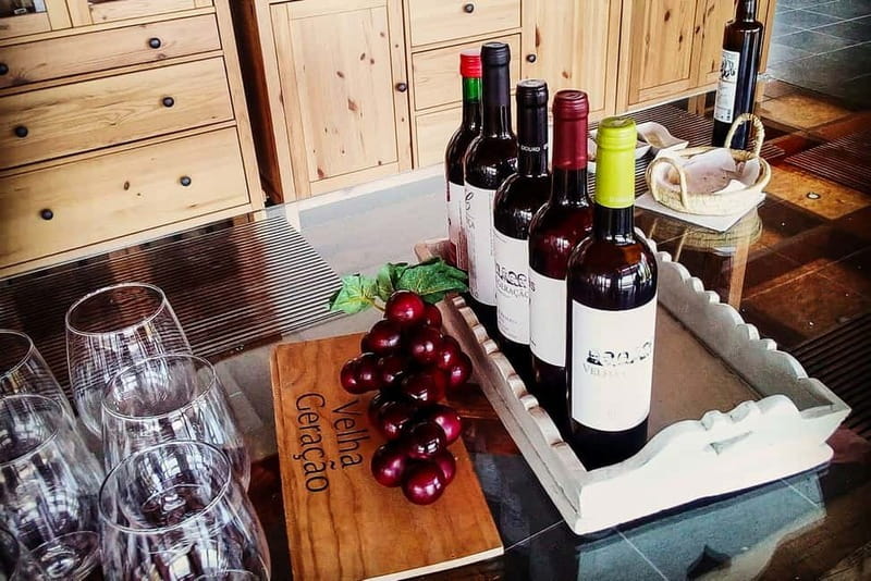 From Porto: Douro Valley with Wineries, Lunch and Boat Trip - Quinta do Seixo: where the Port tasting starts to make sense