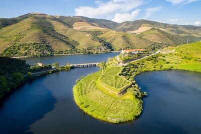 From Porto: Full-Day Douro Valley Trip - Régua’s scenic pedestrian bridge stop: the quick photo hit