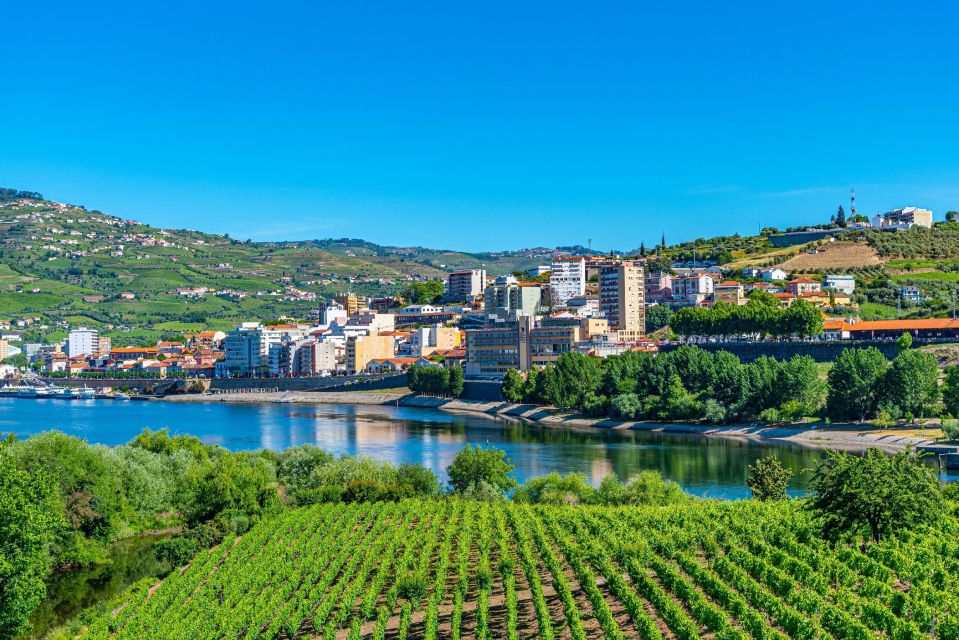 From Porto: Full-Day Douro Valley Trip - Pinhão: the town break, then the river cruise that people remember
