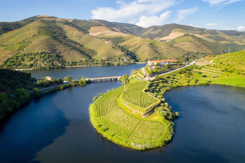 From Porto: Full-Day Douro Valley Trip - Régua’s scenic pedestrian bridge stop: the quick photo hit