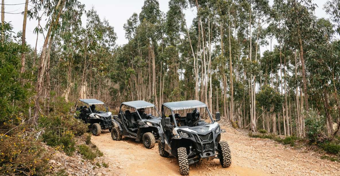 From Porto: Off-Road Buggy Adventure - Key highlights worth circling