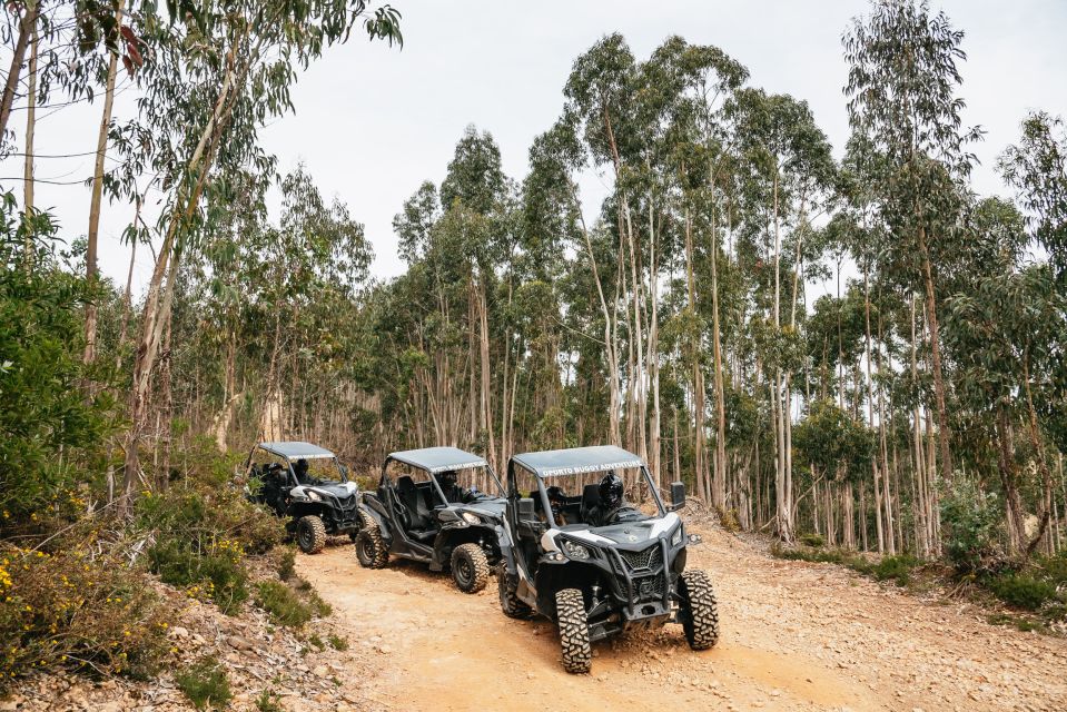 From Porto: Off-Road Buggy Adventure - FAQ