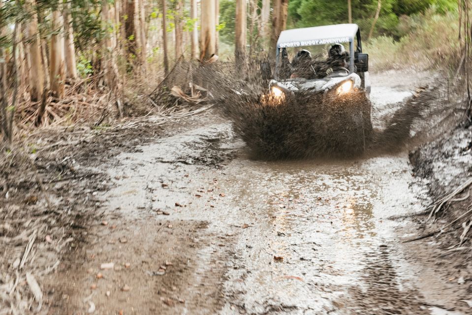 From Porto: Off-Road Buggy Adventure - Off-Road Buggy Basics Near Porto