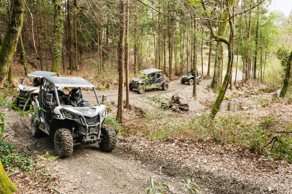 From Porto: Off-Road Buggy Adventure - Safety-First Pace on Rocky Paths