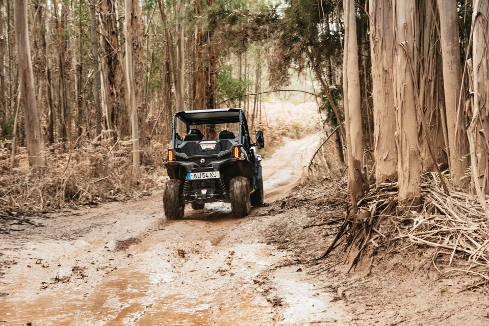 From Porto: Off-Road Buggy Adventure - Meeting Point, Pickup Times, and What to Pack