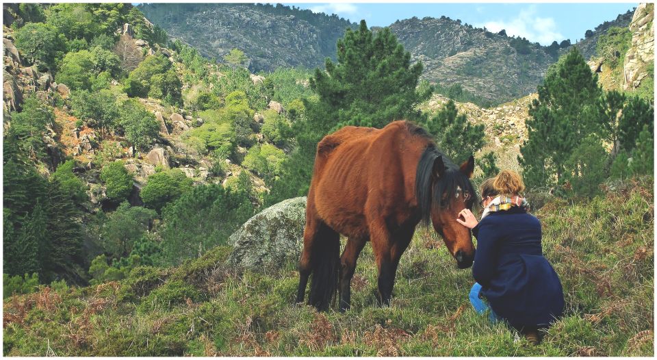 From Porto: Peneda-Gerês National Park Tour with Lunch - Weather and route changes: how flexible the day can be