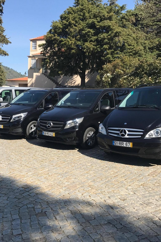 From Porto: Premium Douro Valley Small-Group Wine Tour - A 10-hour Douro Valley day that feels intentionally paced