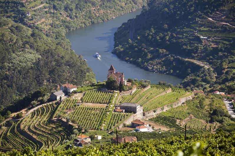 From Porto: Premium Douro Valley Small-Group Wine Tour - Two winery stops: how to get variety instead of repetition