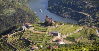 From Porto: Premium Douro Valley Small-Group Wine Tour - From Porto to terraced vineyards: the tastings that teach you the basics