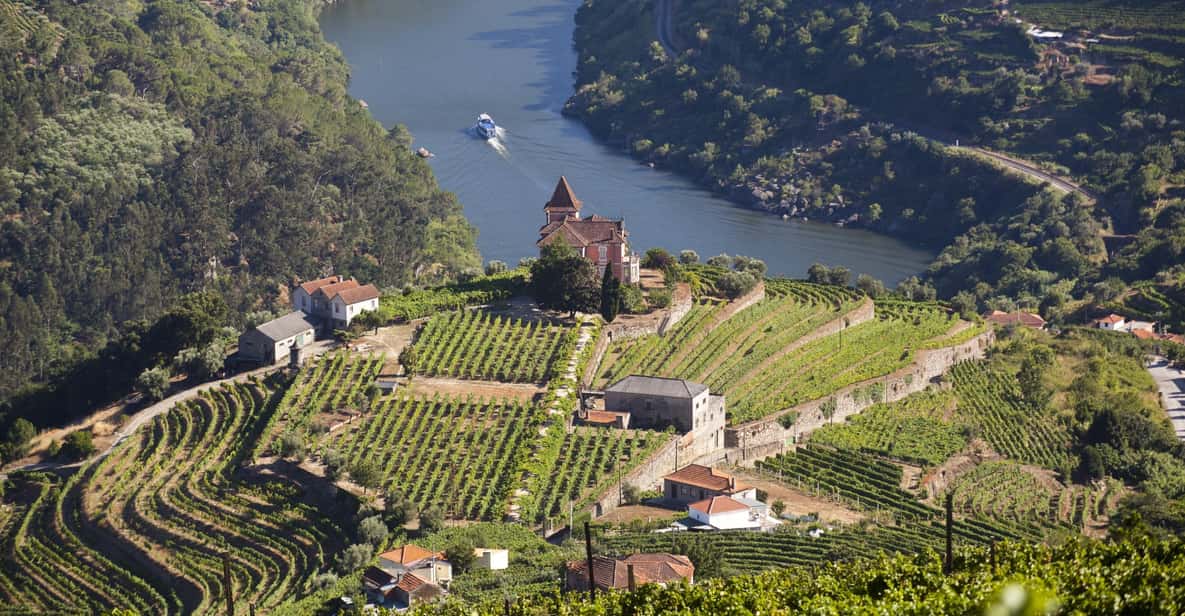 From Porto: Premium Douro Valley Small-Group Wine Tour - From Porto to terraced vineyards: the tastings that teach you the basics