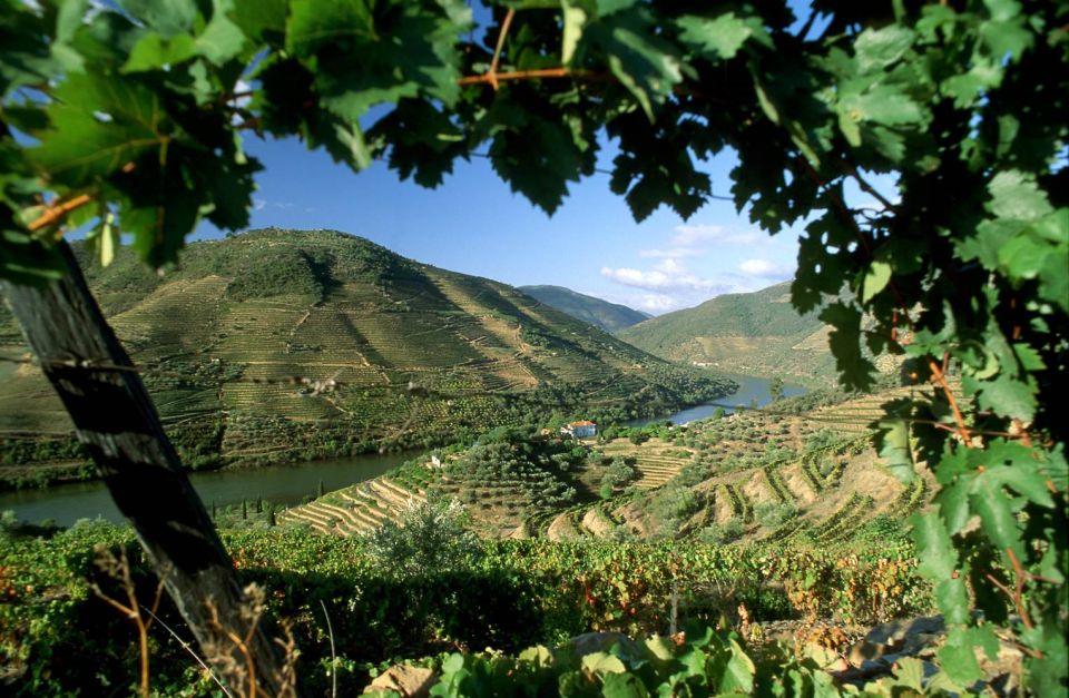 From Porto: Régua to Porto River Cruise with Lunch on Board - Key Highlights Worth Booking For