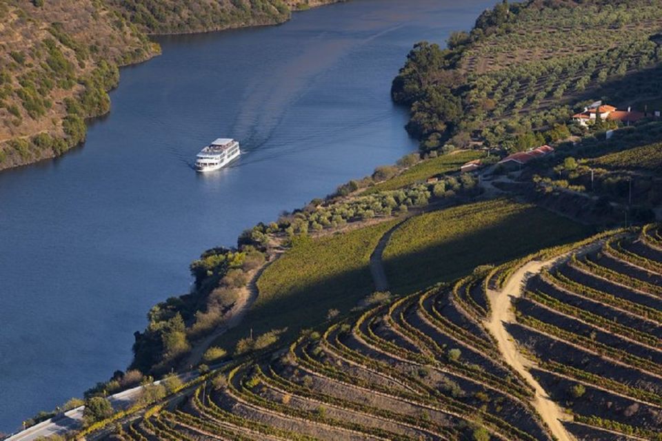From Porto: Régua to Porto River Cruise with Lunch on Board - A Douro Day Trip That Lets Porto Breathe Again