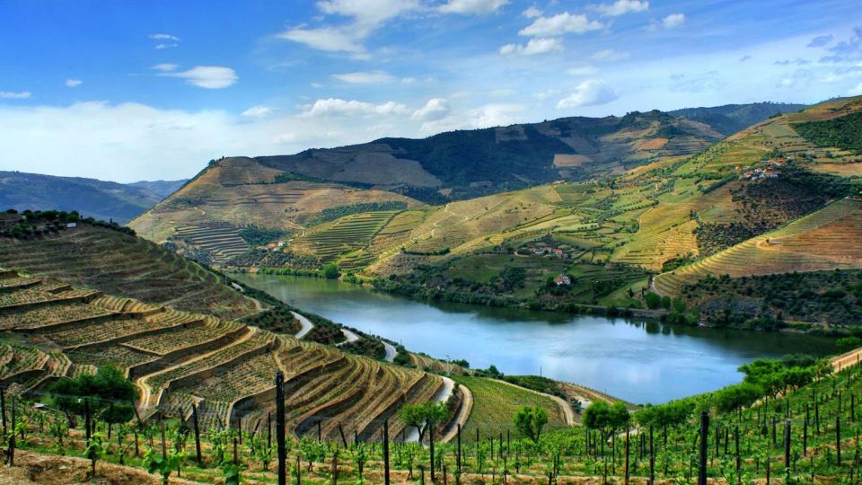 From Porto: Régua to Porto River Cruise with Lunch on Board - Peso da Régua Break: Where Your Douro Day Actually Starts