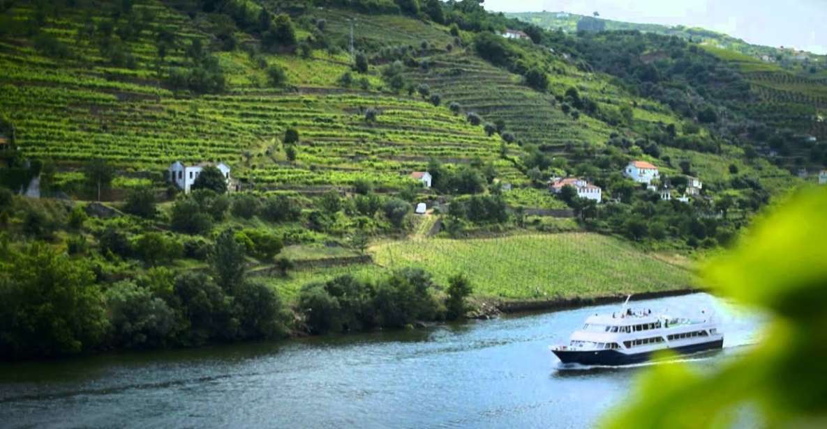 From Porto: Régua to Porto River Cruise with Lunch on Board - Cruising the Douro Back to Porto: Terraces, Dams, and the Best Views