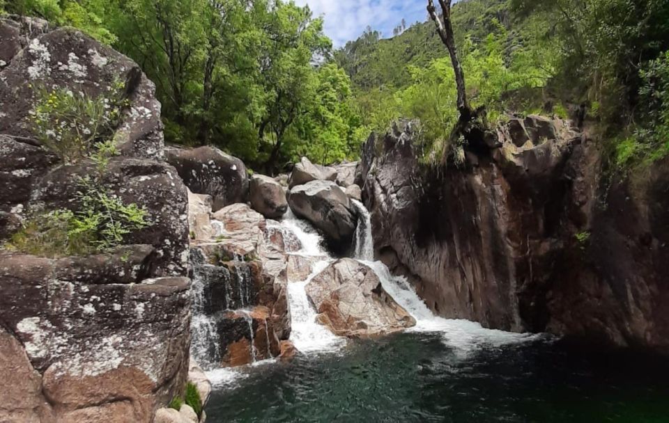 From Porto: Small Group Day Tour of Geres National Park - Back to Porto: Getting Home Without Stress
