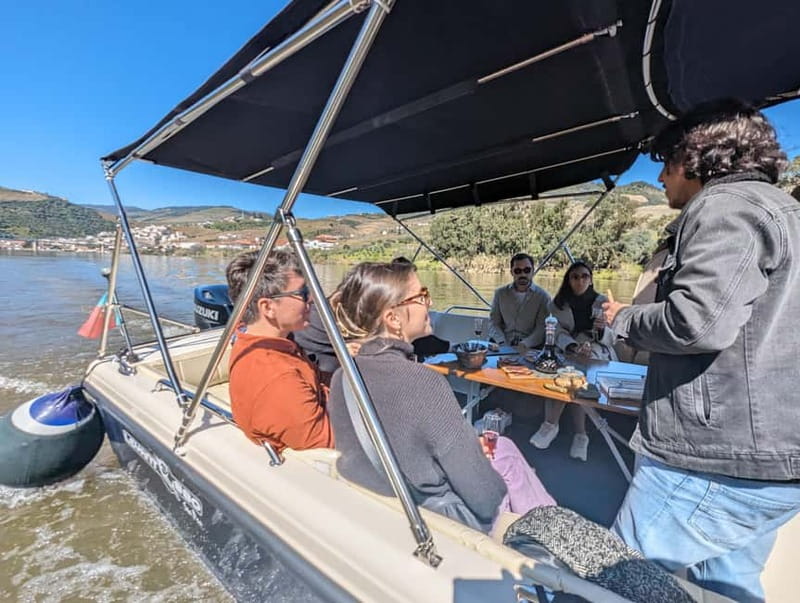 From Porto: Tastings at 2 Wineries, Chef's Lunch & Boat Tour - Key highlights you’ll actually feel during the day