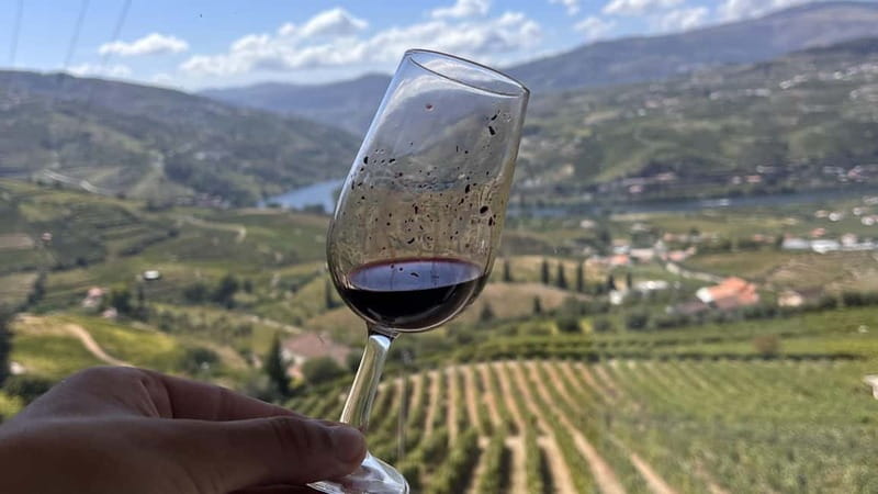 From Porto: Tastings at 2 Wineries, Chef's Lunch & Boat Tour - Who this Douro day trip is best for