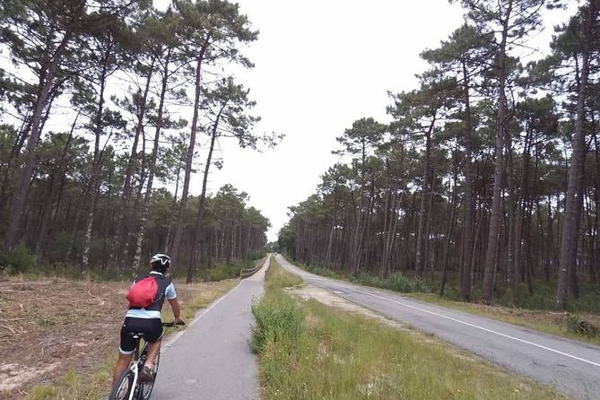 From Porto with view to Gaia: Private Bike Tour #DuckSideOfPorto - Price and Value: Is $86.39 a Good Deal?