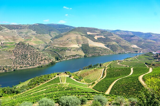 Genuine Douro Valley Tour: Visit 2 Wineries, Lunch & River Cruise - Porto Pickup and the Scenic N222 Drive That Sets the Tone