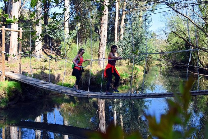 Half-day Hike & Picnic with Dog Love in Porto's Mountains - São Bento Start: Easy Access Into Porto’s Hills