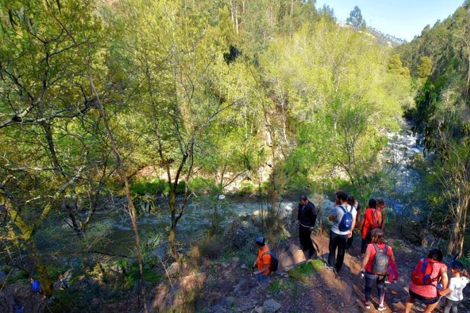 Half-day Hike & Picnic with Dog Love in Porto's Mountains - Who This Hike Fits Best in Porto