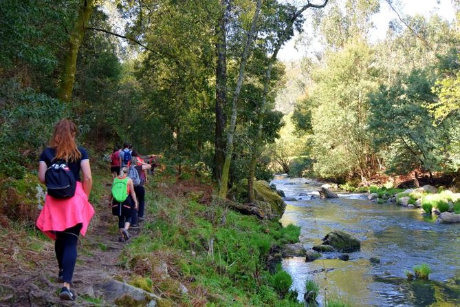 Half-day Hike & Picnic with Dog Love in Porto's Mountains - The Picnic Lunch: More Than a Sandwich Break