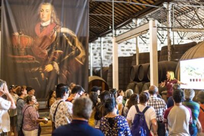 MagicTrain Tour and Port Wine Cellar Visit & Tasting - Meeting at R. de Saraiva de Carvalho: Convenient and Easy to Build On