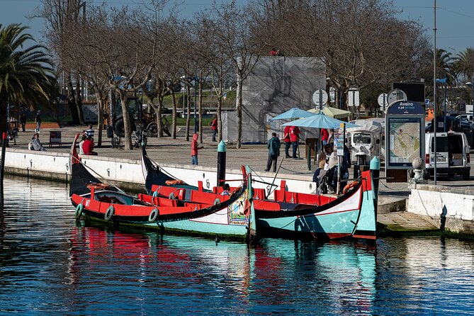 Moliceiro Boat Tour on the Ria de Aveiro - English-Friendly, Multilingual Guides: What the Talk Feels Like