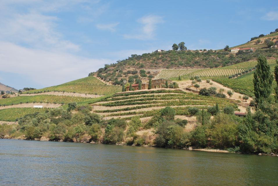 Pinhão: 2-Hour Rabelo Boat Tour with Audio Guide - Why this Douro cruise feels special even at “just” 2 hours
