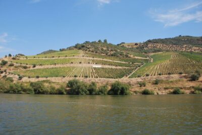 Pinhão: 2-Hour Rabelo Boat Tour with Audio Guide - Getting to the pier: finding Magnifico Douro near the iron bridge