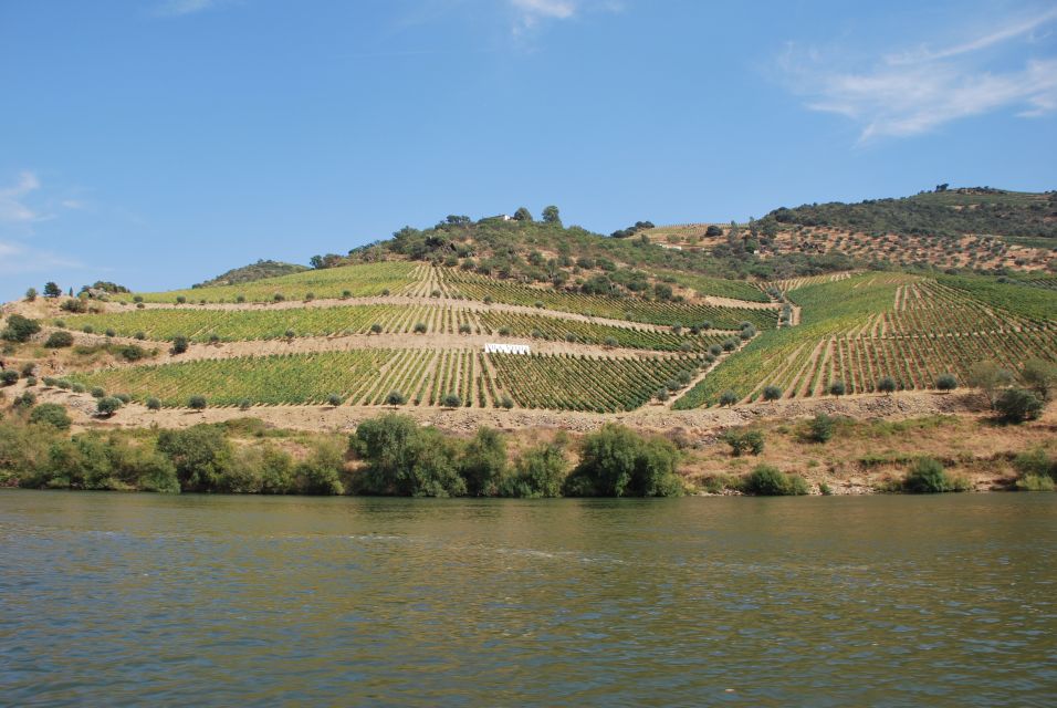 Pinhão: 2-Hour Rabelo Boat Tour with Audio Guide - Getting to the pier: finding Magnifico Douro near the iron bridge