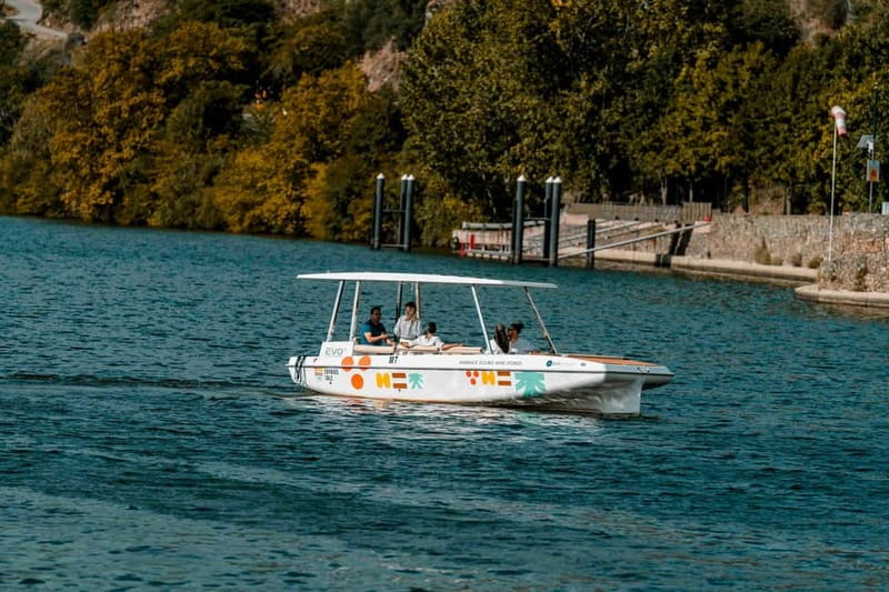 Pinhão: Douro River Solar Boat Tour with Wine Tasting - Key things I’d bank on before you book