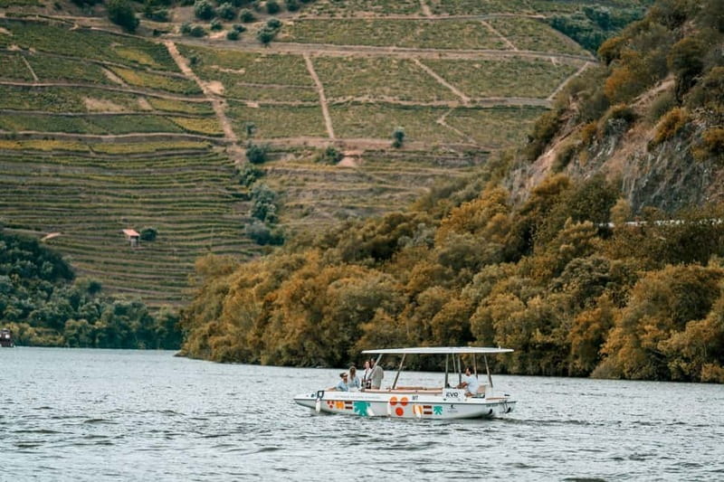 Pinhão: Douro River Solar Boat Tour with Wine Tasting - Should you book this solar boat with wine tasting?