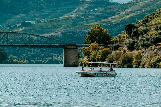 Pinhão: Electric Boat Experience 1h - Taste of Two Wines - What You’ll See From the River: vines, Pinhão views, and wine-farm country